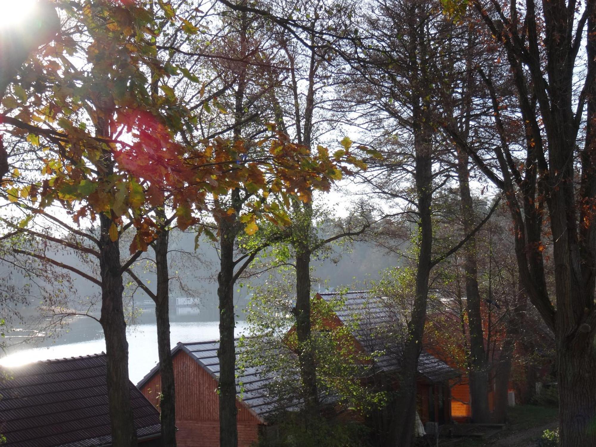 Appartement Seeblick Rheinsberg